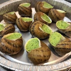 Une douzaine d'escargots en coquille beurre à l'ail