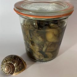 Escargots stÃ©rilisÃ©s au naturel
